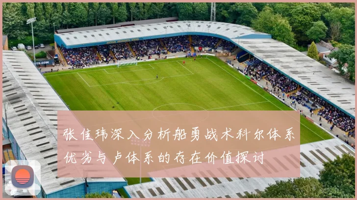 张佳玮深入分析船勇战术科尔体系优劣与卢体系的存在价值探讨