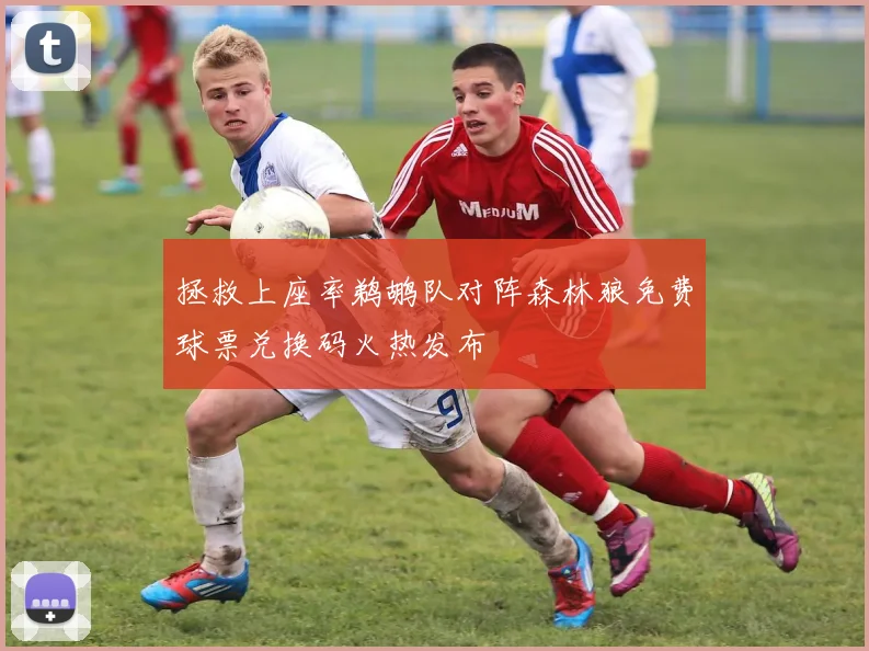 拯救上座率鹈鹕队对阵森林狼免费球票兑换码火热发布