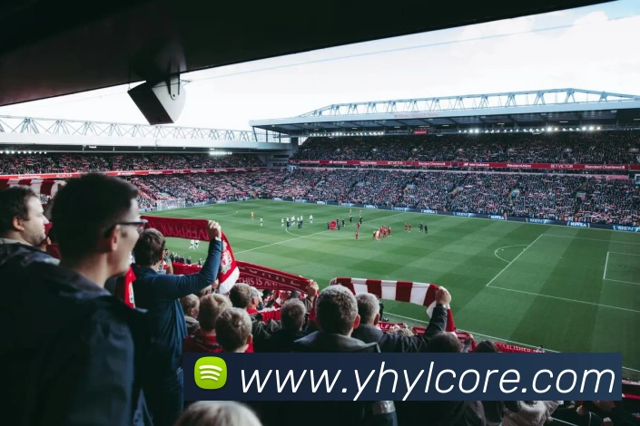 多媒体互动体验